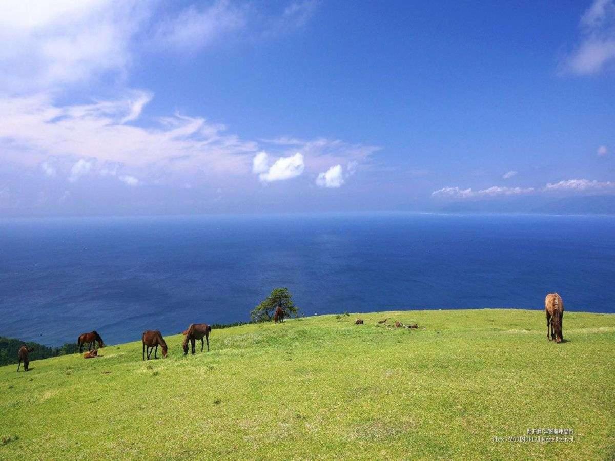 Nichinankaigan Nango Prince Hotel Dış mekan fotoğraf